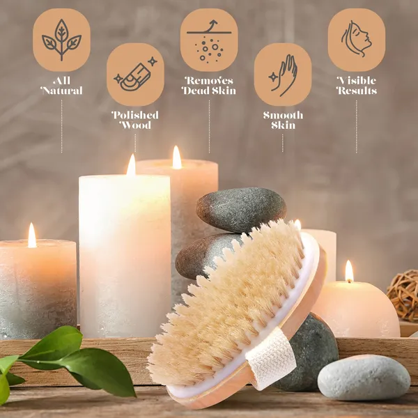 Wooden_Natural_Body_Brush_And_Handle_Dry_Brush_For_Body_Care_(Pack_Of_2)