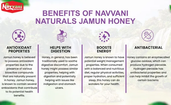 Jamun_Farm_Fresh_Pure_Natural_And_Ayurvedicrich_In_Vitamins_And_Minerals_Honey