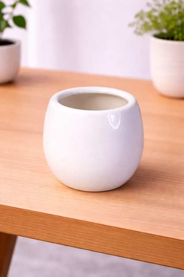 White_Premium_Quality_Ceramic_Egg_Planter_