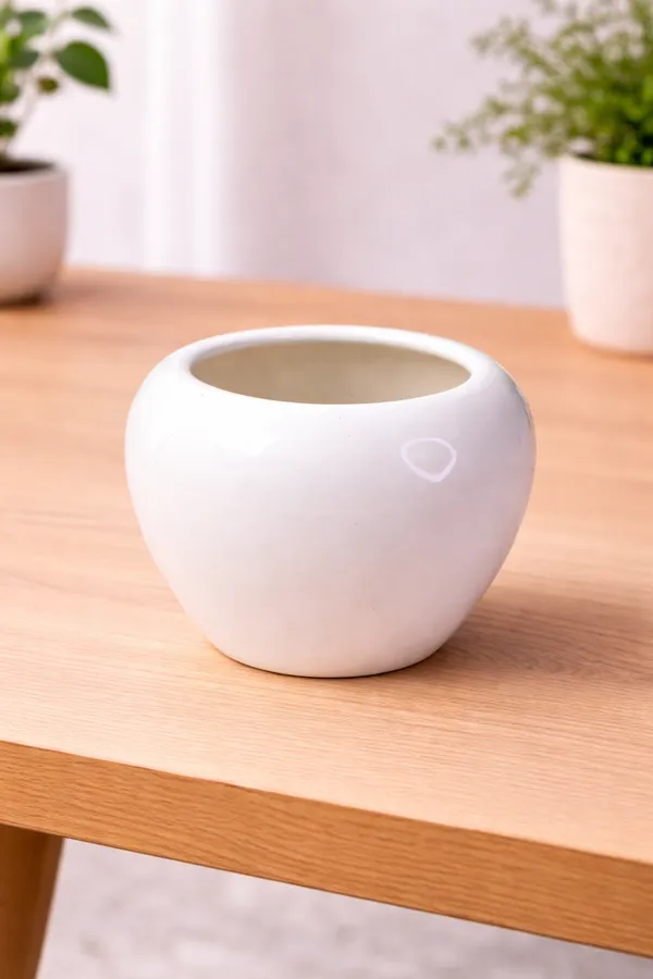 White_Ceramic_Round_Bulb_Planter