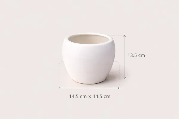 White_Premium_Quality_Ceramic_V_Shape_Planter_