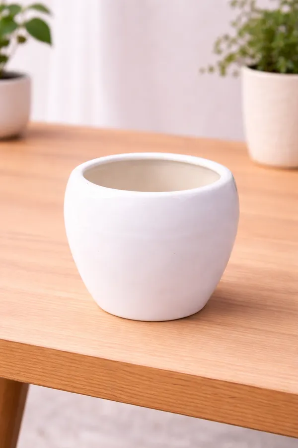 White_Premium_Quality_Ceramic_V_Shape_Planter_