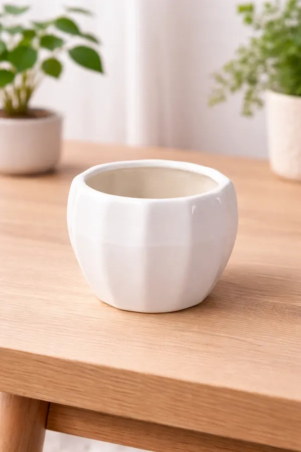 White_Ceramic_Round_Lining_Planter_