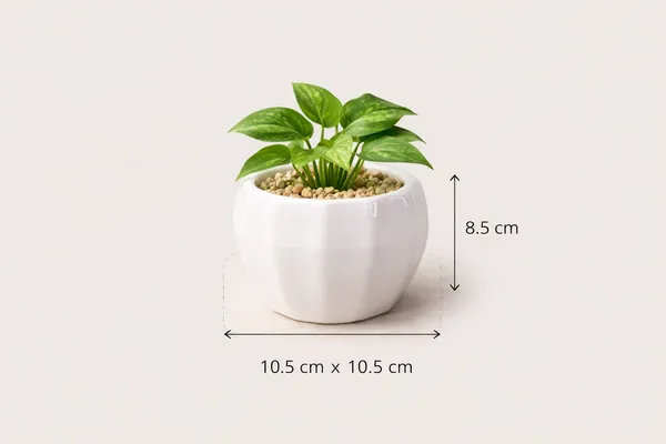 White_Ceramic_Round_Lining_Planter_