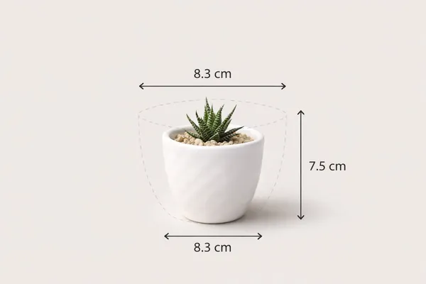 White_Premium_Quality_Ceramic_Cup_Planter_Pack_Of_3