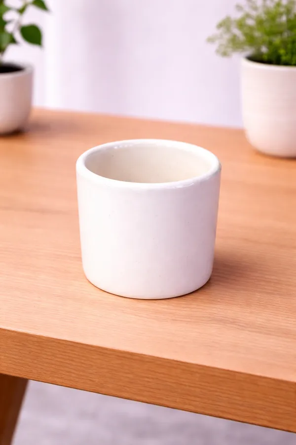 White_Premium_Quality_Ceramic_Round_Mug_Planter_Pack_Of_3