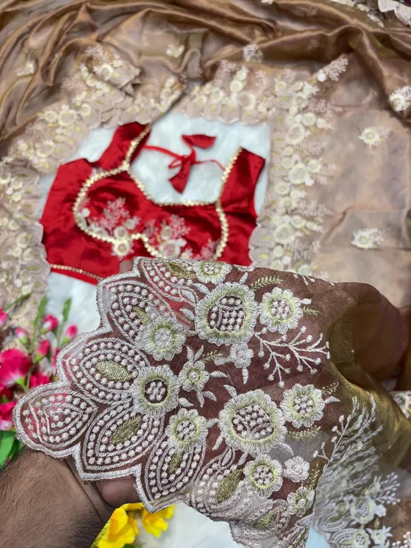 Brown_Tissue_Organza_Saree_For_Women