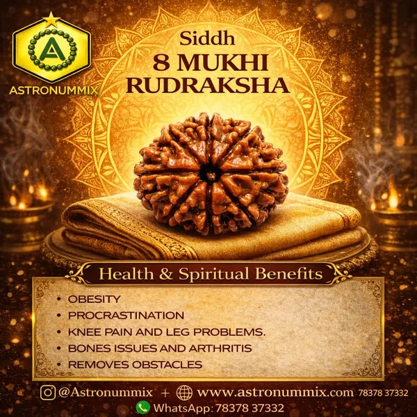8_Mukhi_Rudraksha