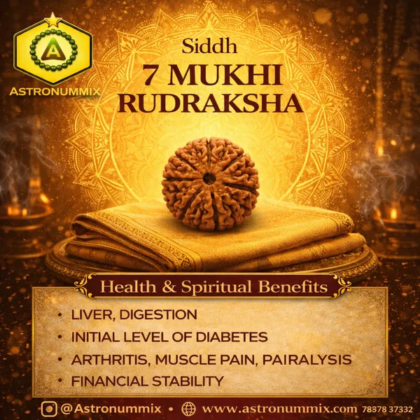 7_Mukhi_Rudraksha