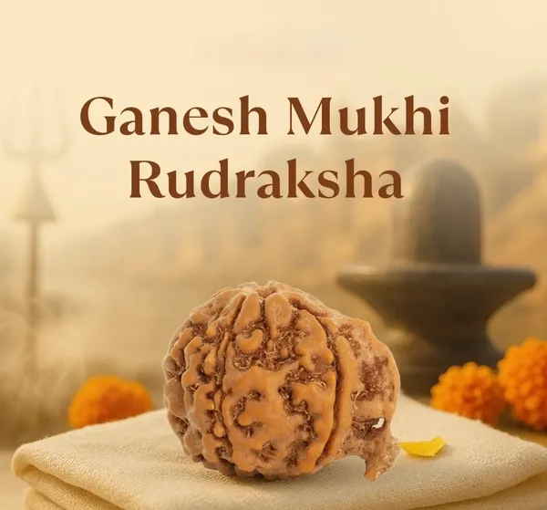 GANESH_MUKHI_RADRAKSHA