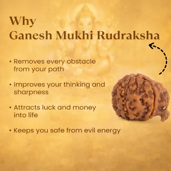 GANESH_MUKHI_RADRAKSHA