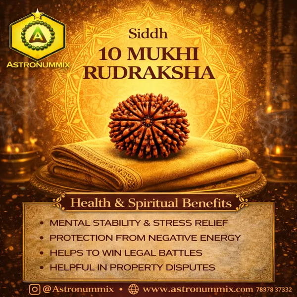 10_Mukhi_Rudraksha