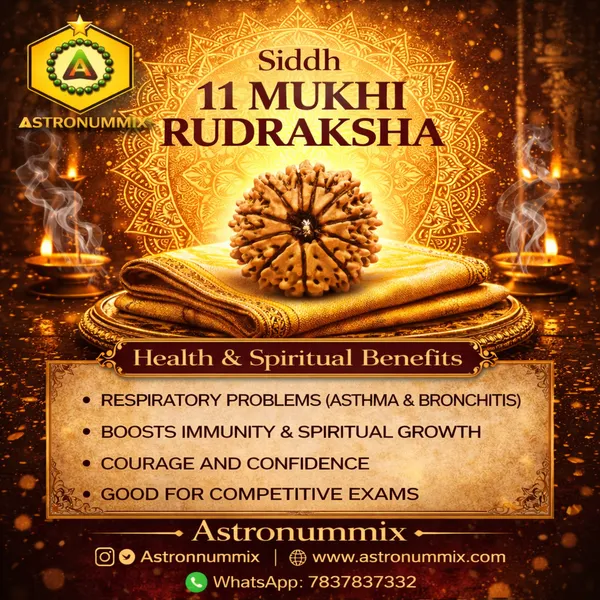 11_Mukhi_Rudraksha