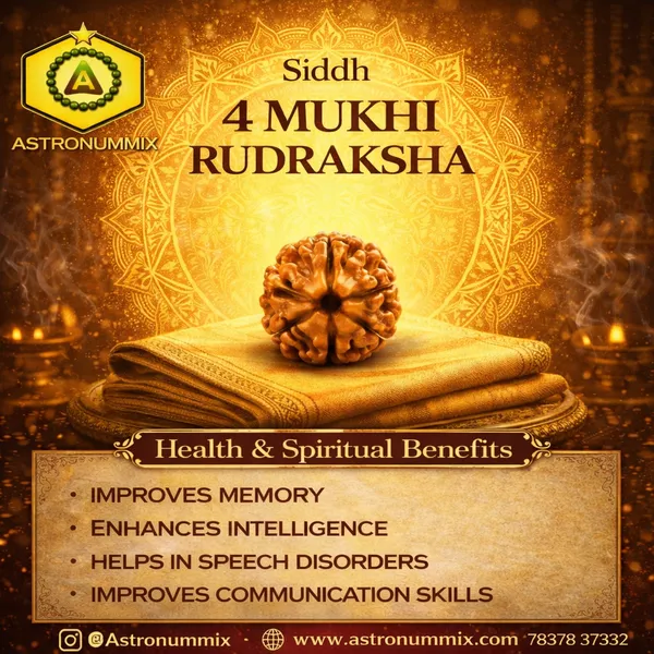 4_Mukhi_Rudraksha