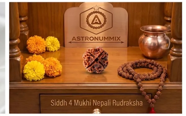 4_Mukhi_Rudraksha