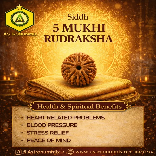 5_Mukhi_Rudraksha
