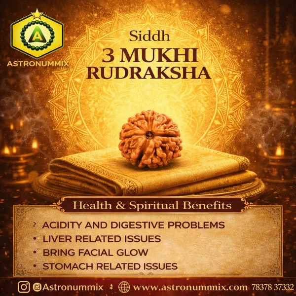 3_Mukhi_Rudraksha