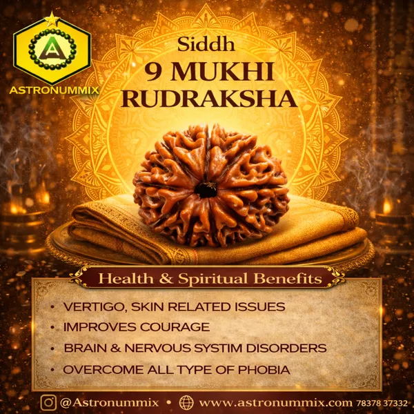 9_Mukhi_Rudraksha