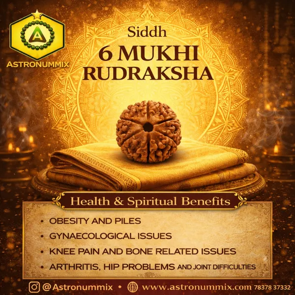 6_Mukhi_Rudraksha