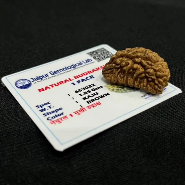 1_Mukhi_Rudraksha