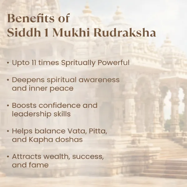 1_Mukhi_Rudraksha