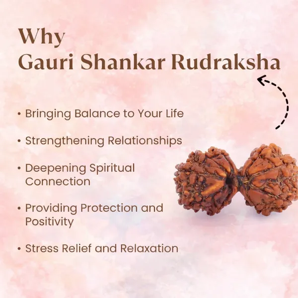 Gauri_Shankar_Rudraksha