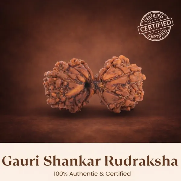 Gauri_Shankar_Rudraksha