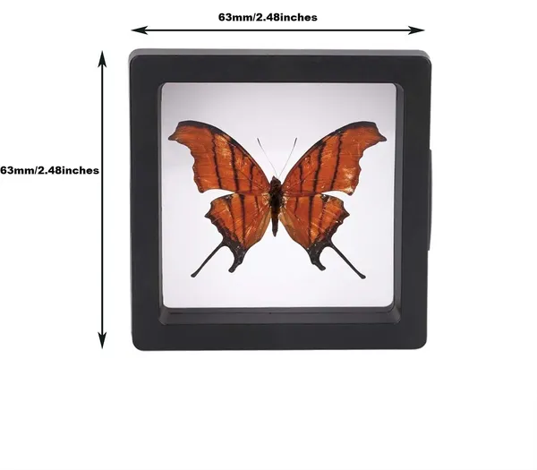 Black_3d_Floating_Frame_Display_Holder_Stands_10_Pcs,_Coin_Display_Stands_Set_Of_10_3d_Floating_Jewelry_Frame_For_Challenge_Coins,_Aa_Medallions,_Jewelry