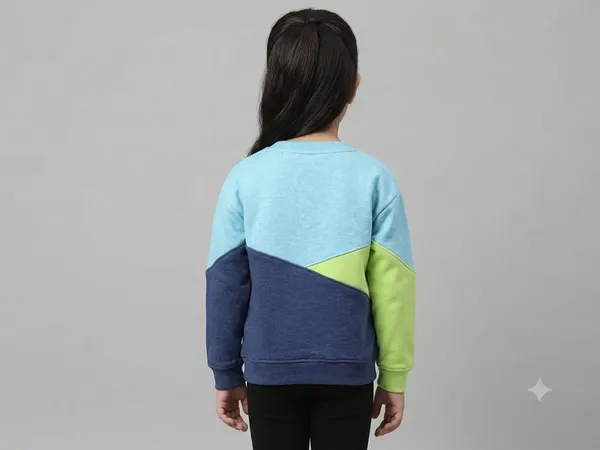 Colourblock_Graphic_Pullover_Sweatshirt_for_Girls