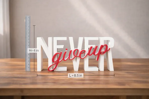 Never_Give_Up_Desk_Decorative