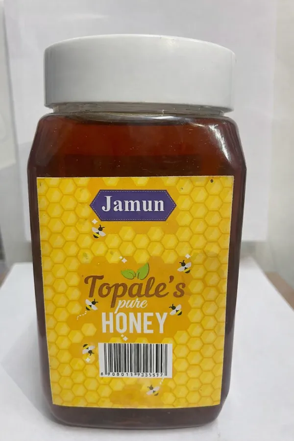 Pure_Natural_Honey_Jamun_Pack_Of_2