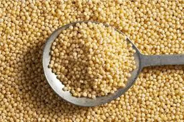 Brown_Kodo_Millet_For_Everyone