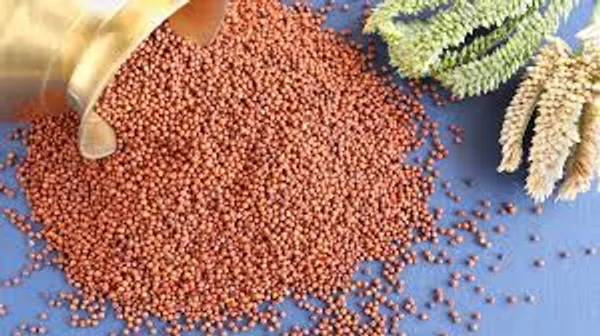 Pack_Of_2_Brown_And_Red_Premium_Ragi_Finger_Millet_And_Kidney_Beans_For_Everyone