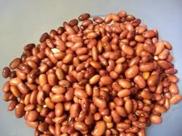 Pack_Of_2_Brown_And_Red_Premium_Ragi_Finger_Millet_And_Kidney_Beans_For_Everyone