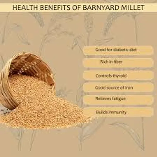 Cream_Sanwa_Millet_Barnyard_Millet_For_Everyone