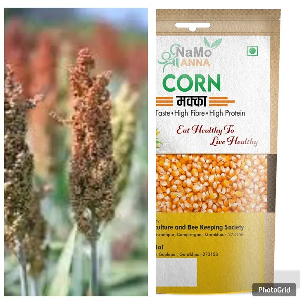 Pack_Of_2_Yellow_And_Cream_Premium_Corn_Or_Makka_And_Barnyard_Millet_For_Everyone
