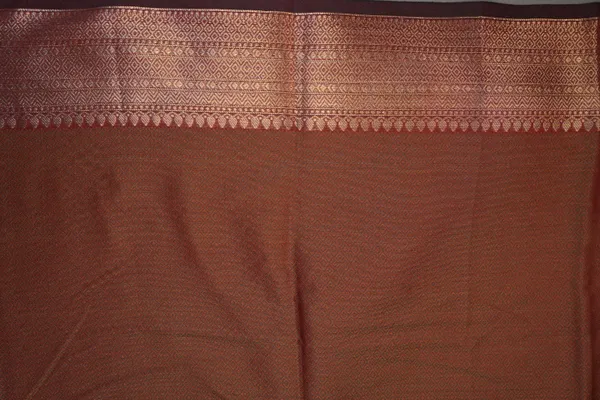 Brown_Banarasi_Silk_Zardozi_Work_Saree_For_Women