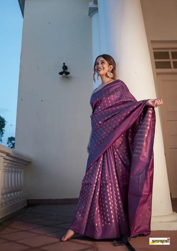 Purple_Resplendent_Soft_Silk_Saree_With_Quintessential_Blouse_Piece_For_Women