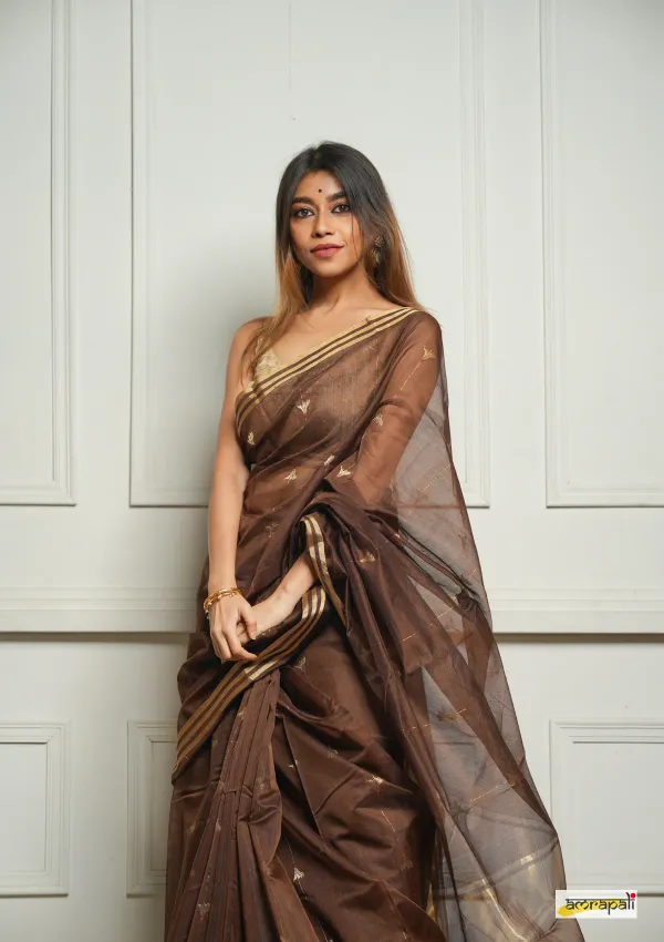 Brown_Embellished_Cotton_Silk_Saree_With_Felicitous_Blouse_Piece_For_Women