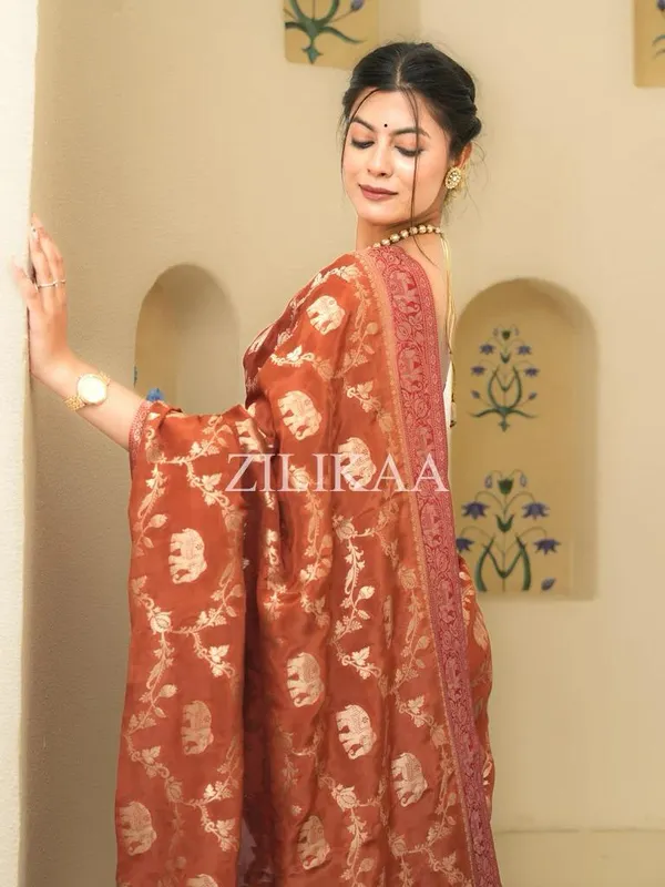 Orange_Classy_Soft_Silk_Saree_With_Piquant_Blouse_Piece_For_Women