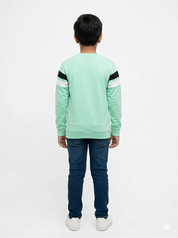 Mint_Green_Cotton_Color_Block_Full_Sleeve_T_Shirt_For_Boys
