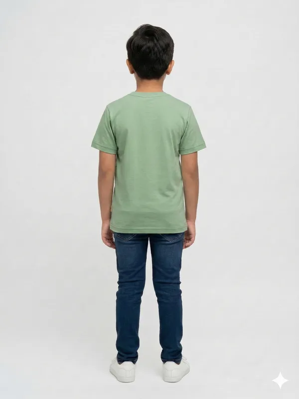 Light_Green_100%_Cotton_Graphic_Dtf_Print_T_Shirt_For_Boys