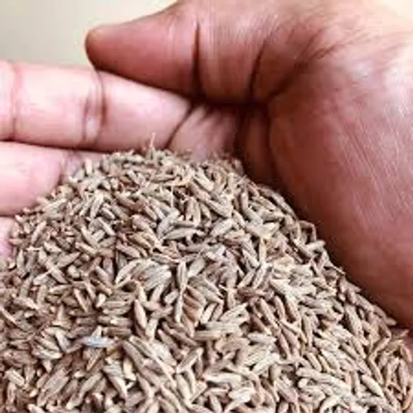 Natural_Premium_Cumin_Seeds_�_Earthy,_Aromatic_&_Flavorful,_No_Added_Preservatives_�_1000_G