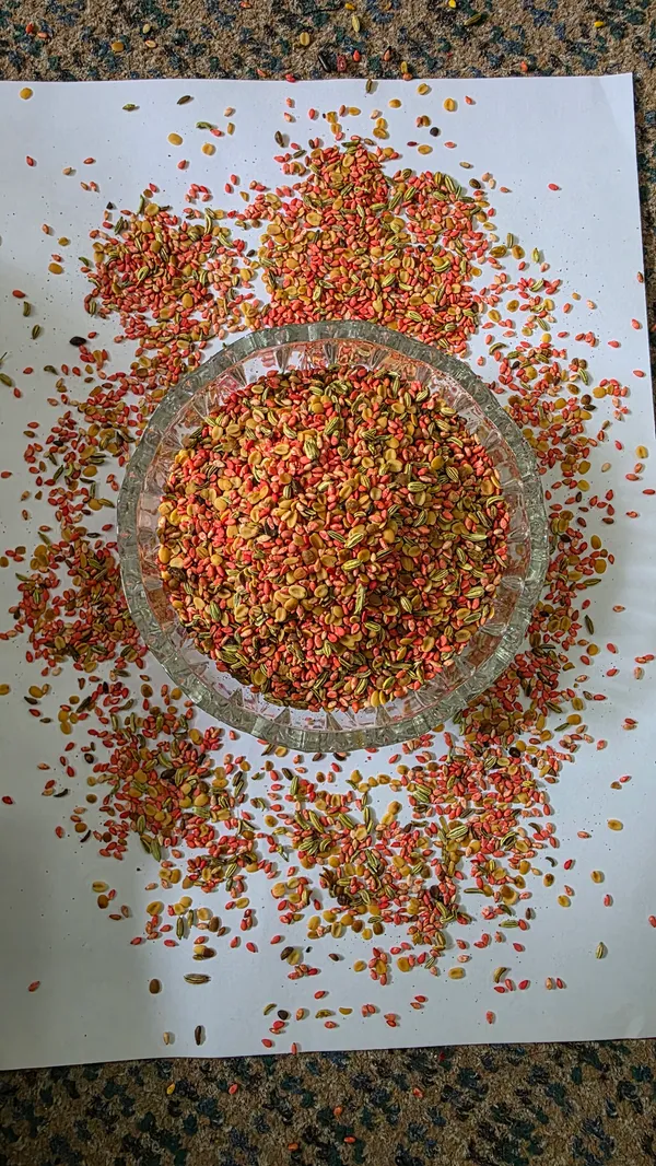 Seven_Seeds_Premium_Seed_Mix_Roasted_Seeds_Blend