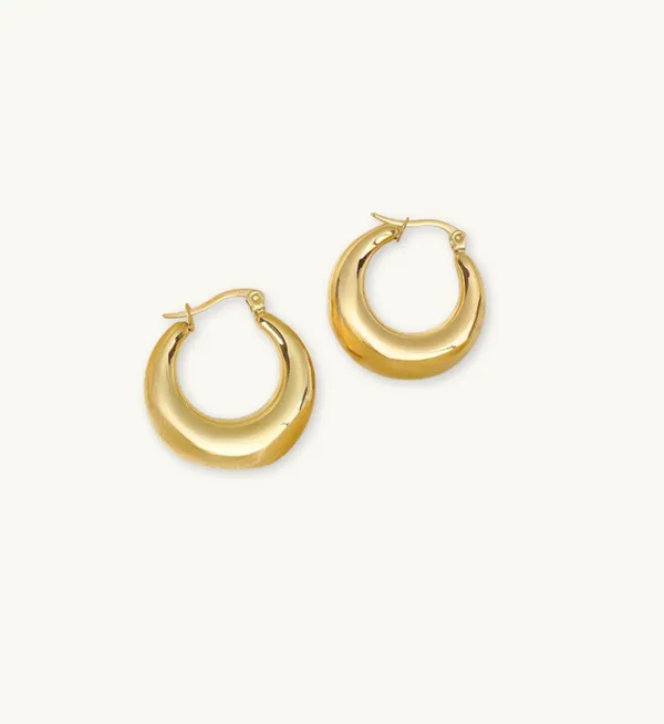 Gold_Plated_Stainless_Steel_Classic_Hoops_Earrings_For_Women