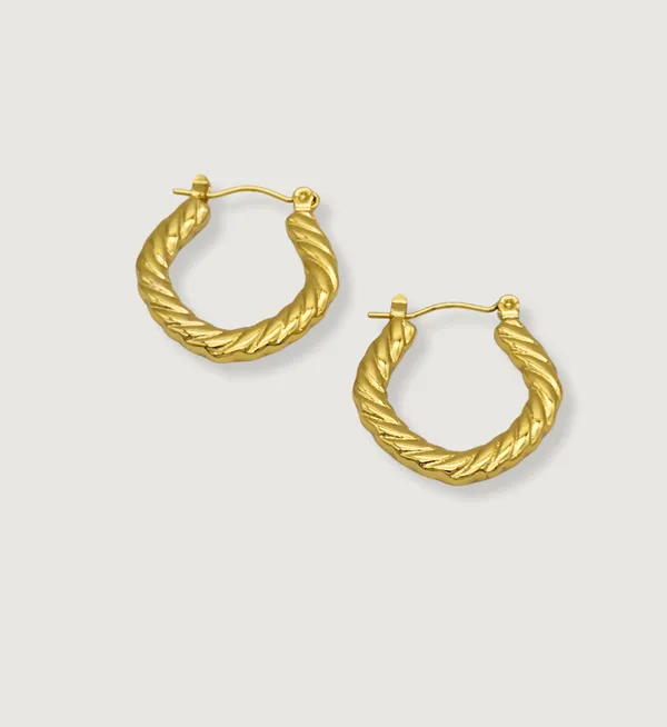 Gold_Plated_Stainless_Steel_Twisted_Rope_Hoops_Earrings_For_Women