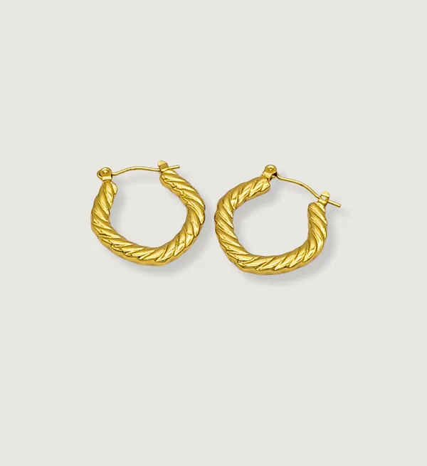 Gold_Plated_Stainless_Steel_Twisted_Rope_Hoops_Earrings_For_Women