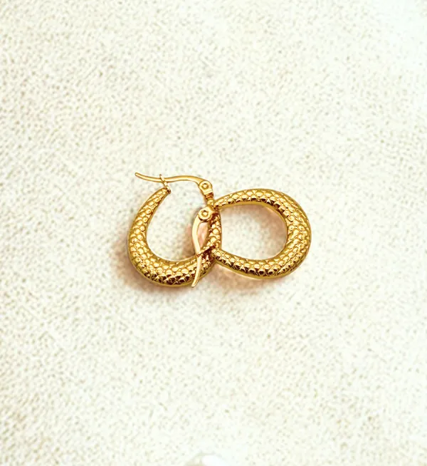 Gold_Plated_Stainless_Steel_Textured_Hoops_Earrings_For_Women