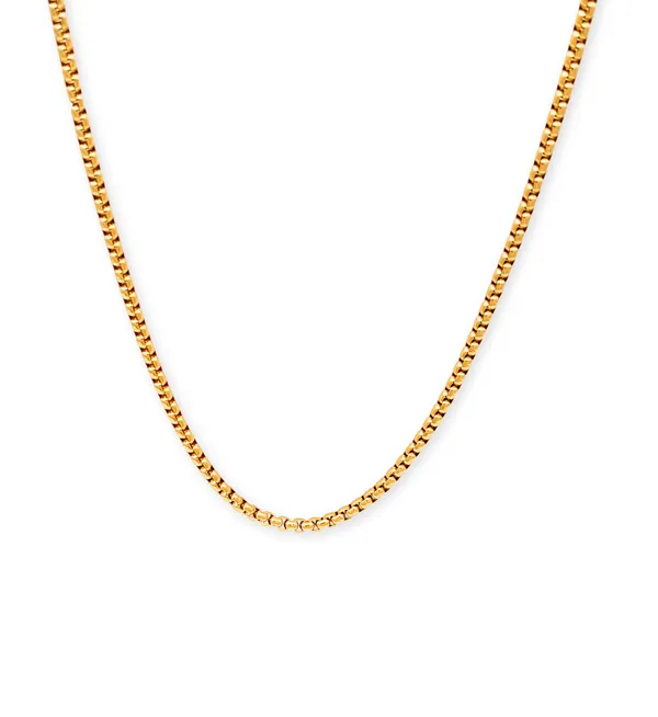 Gold_Plated_Stainless_Steel_Box_Chain_For_Men
