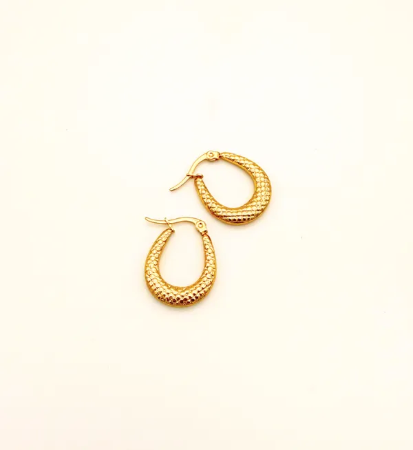 Gold_Plated_Stainless_Steel_Textured_Hoops_Earrings_For_Women